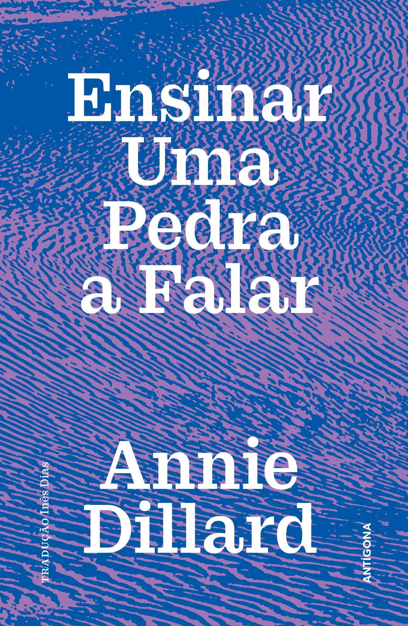 Ensinar Uma Pedra A Falar - Expedições e Encontros