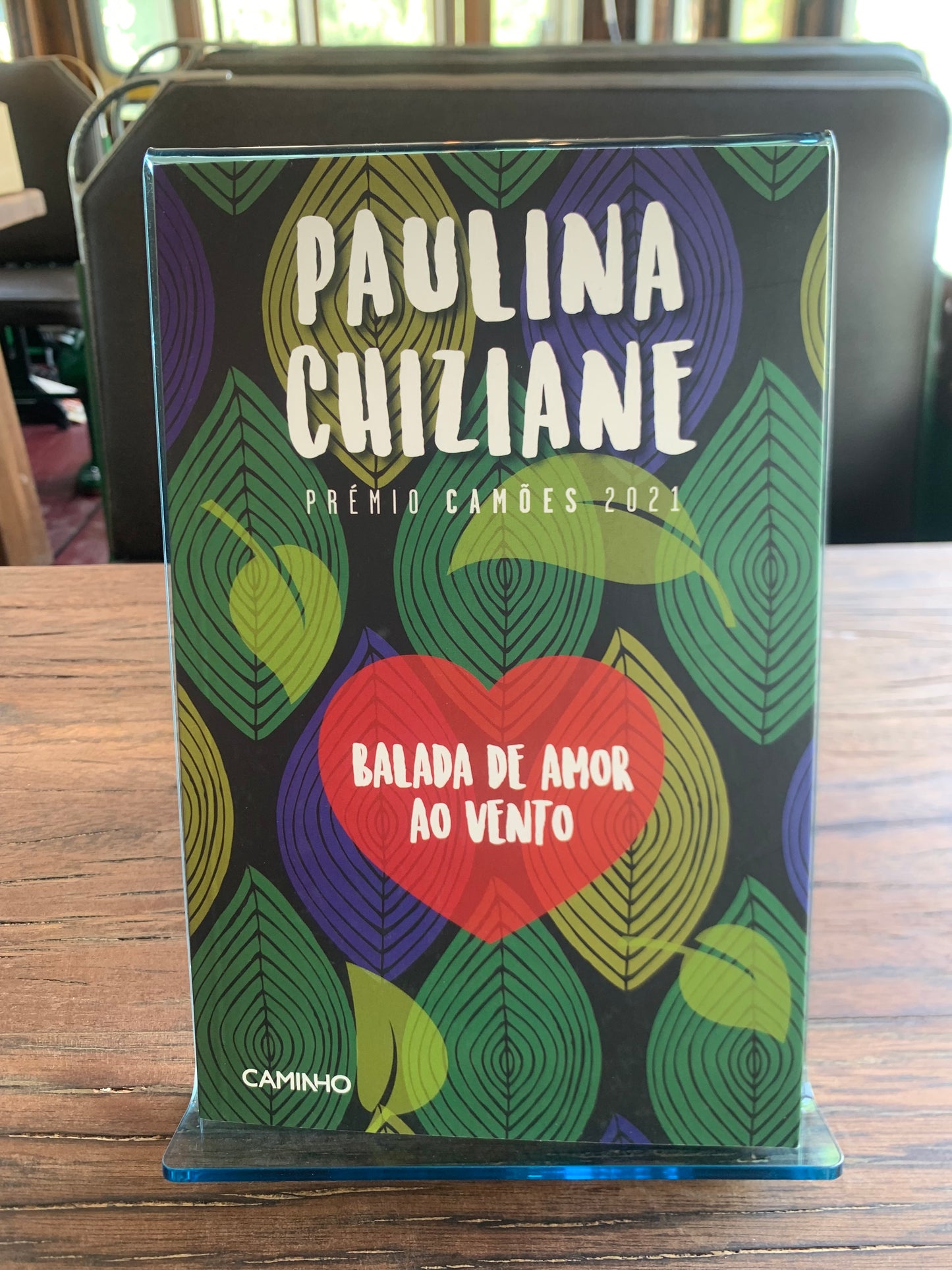 BALADA DE AMOR AO VENTO