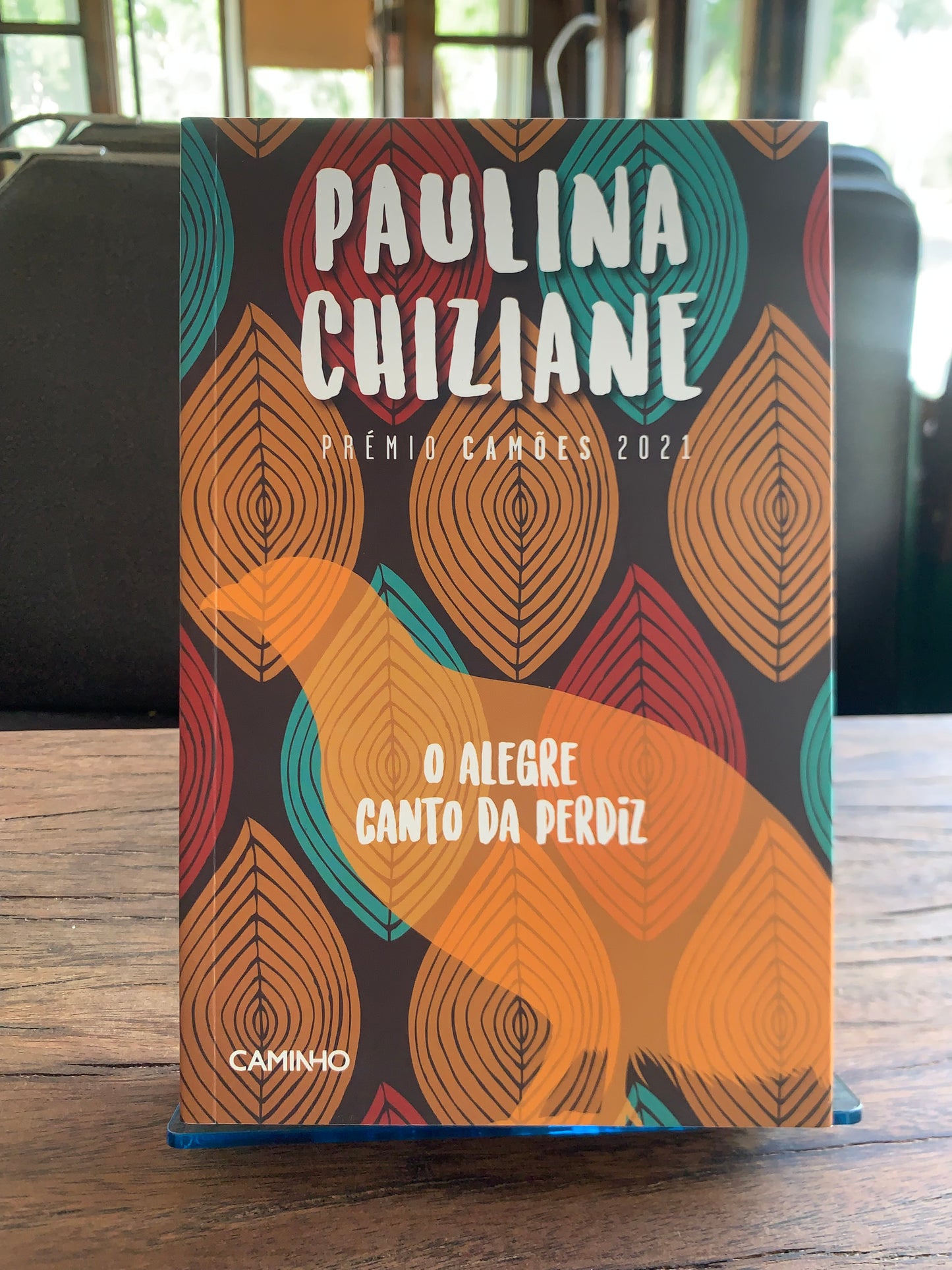 O ALEGRE CANTO DA PERDIZ